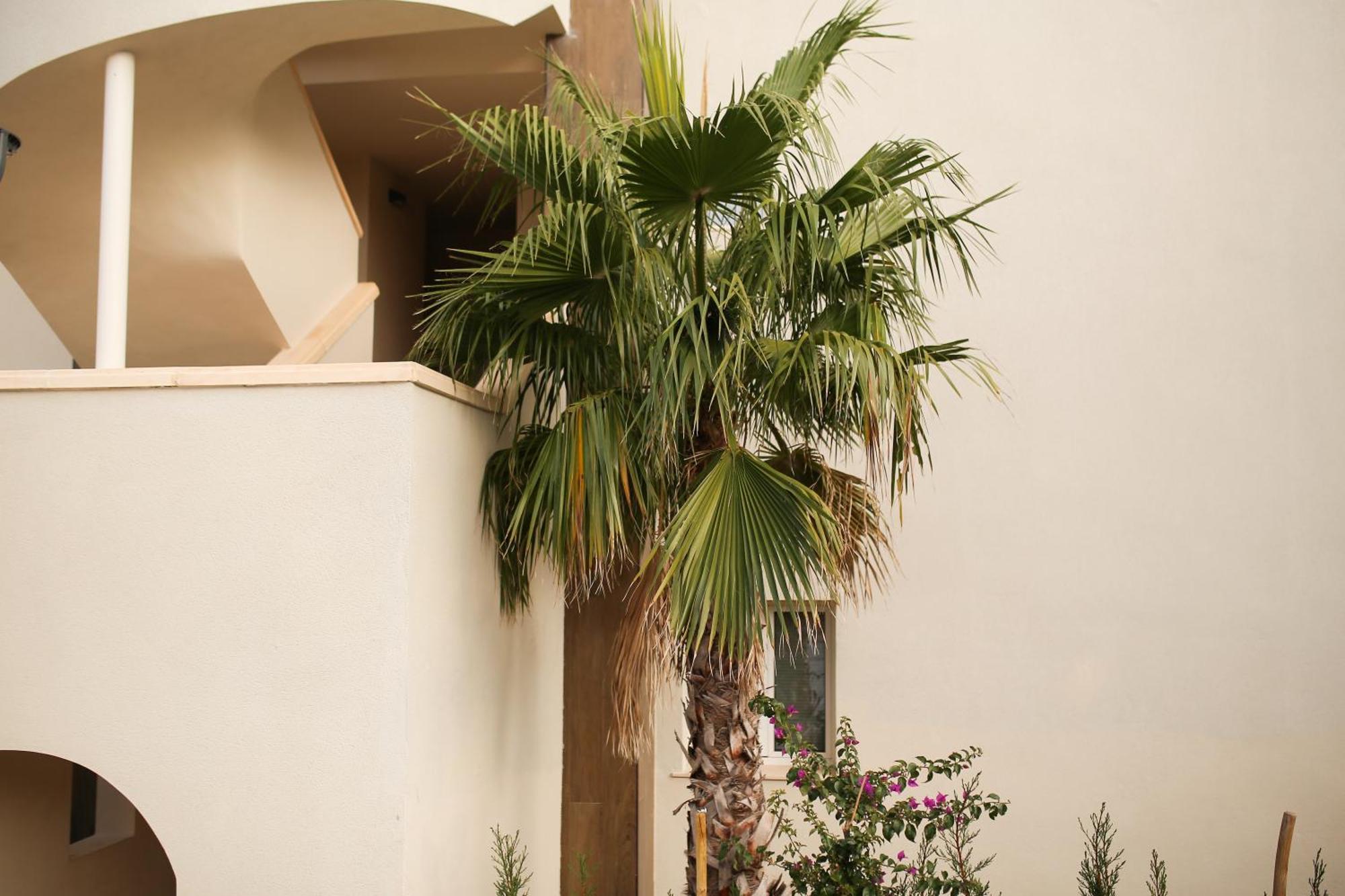 Modern Flat With Montgo View Apartment Denia Exterior foto